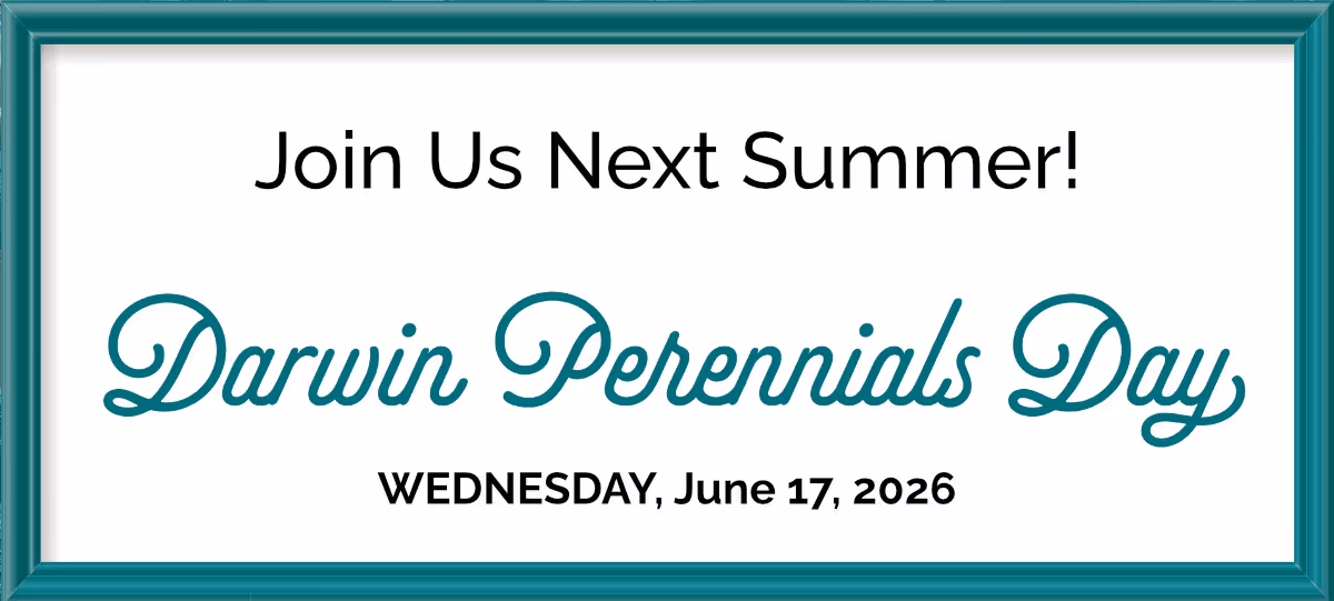 Join Us for Darwin Perennials Day, Wednesday, June 17, 2026