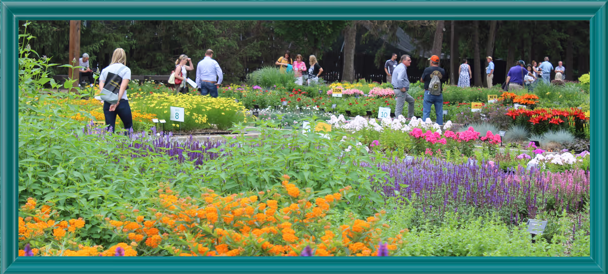People enjoying the perennial gardens.